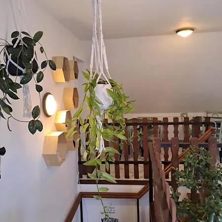 B&B Diokert Vendeghaz 3*